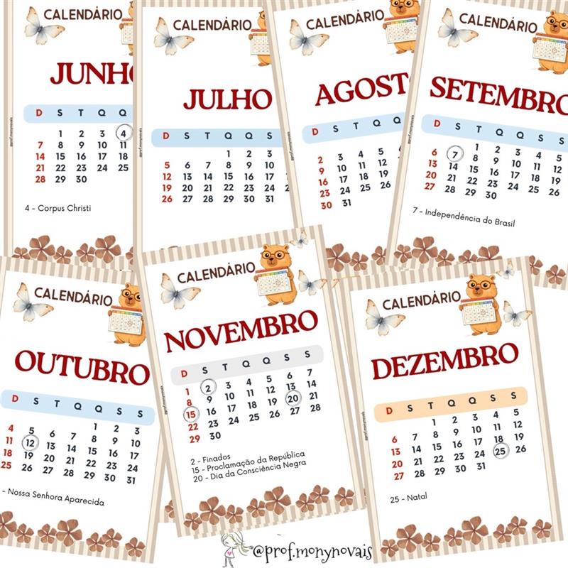 Image - 2026-01-29T062607.220